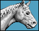 White horse